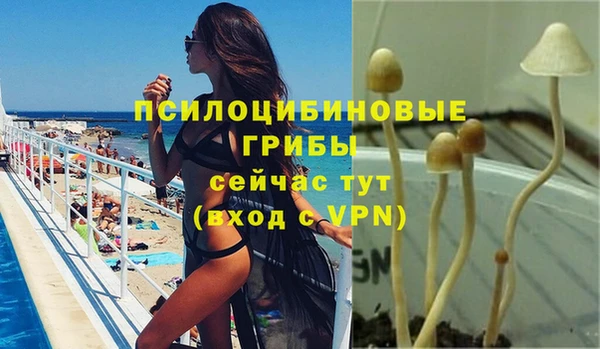 2c-b Покачи