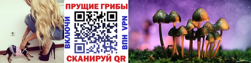 mega зеркало  цены наркотик  Берёзовский  Галлюциногенные грибы MAGIC MUSHROOMS 